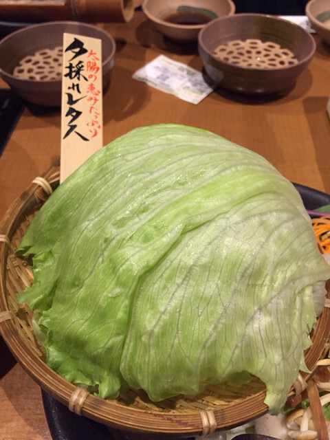 Shabu Shabu On Yasai Kameido Ten photo 2