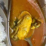 かれーの店 うどん  - 