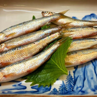 割烹 やました - 