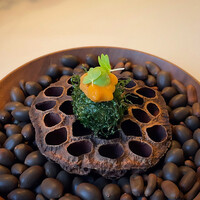 Installation Table ENSO L'asymetrie du calme - 