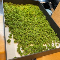 弁慶橋 せき - 