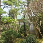 いろは食堂 - 初夏です