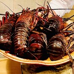 京天神 野口 - ◎活きている元気な伊勢海老❗️