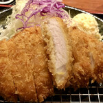 Tonkatsu Kotetsu - 