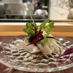 イル アオヤマ - 