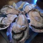 兵庫県坂越産　1Ｐ\220