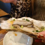 日吉屋 - 生牡蠣