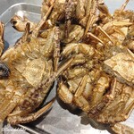 カーサ・デル・チーボ - 活の栗蟹のメス蟹