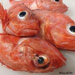 カーサ・デル・チーボ - 八戸産の喜知次