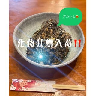 地魚・活魚・炉端焼き 魚次郎_1