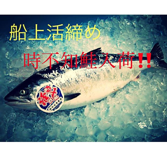 地魚・活魚・炉端焼き 魚次郎 - 苫小牧（居酒屋）の写真