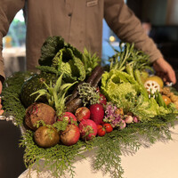 レフェルヴェソンス - 