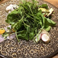 Selvaggio - 