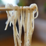 Teuchi Soba Shokudou Taguru - 挽きぐるみにしては白い蕎麦、蕎麦殻が目立ちますが甘皮も見える（ありそうでない貴重な蕎麦）