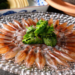 旬菜魚 藍 - 今年も解禁になった富山から美し～い蛍烏賊が毎日届きます。