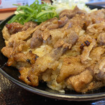 韓丼 - 細めで長めの肉