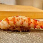 はっこく - 2022.3.  車海老