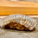 はっこく - 2022.3.  鰯