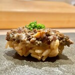 はっこく - 2022.3.  蛍烏賊