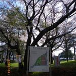 モデストカフェ - 