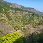 箱根吟遊 武蔵野本館 - 早川の渓谷