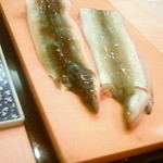 さえ喜 - 熊本八代湾の海うなぎ