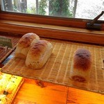 【２０１３年２月】