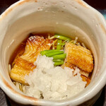 祇園 なん波 - 強肴は焼穴子を乗せた冷たい蕎麦でした