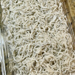 カネヒデ小林商店 - 釜揚げしらすは真っ白　キメが細かくてふわっふわです
