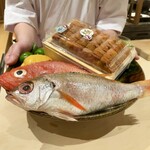 魚の中俣 - 本日の食材