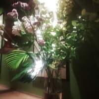 四川料理 龍の子 - 