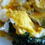 アフロジャパン - 