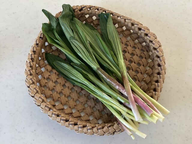 MOCO（モコ） - 苫小牧（カフェ）の写真