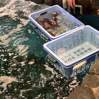 河太郎 中洲本店 - 