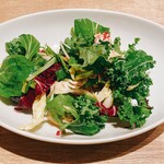クラッティーニ - 農園グリーンサラダ