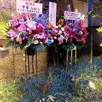中華Aoki - オープンの花
