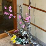 柚木元 - 水仙と桜