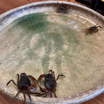 柚木元 - 生きた沢蟹