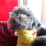 マグズカフェ - アンニュイな店長