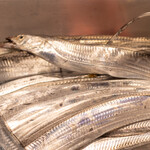 木鶏 - 2022.4 ご主人が釣った太刀魚