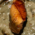 寿し おおはた - 