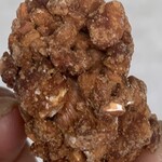 北海道どさんこプラザ - 料理写真: