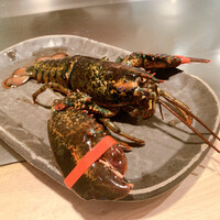 京風鉄板 はせ川 - 