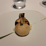 レフェルヴェソンス - 