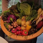 レフェルヴェソンス - 