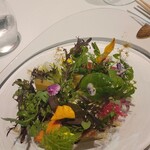 レフェルヴェソンス - 