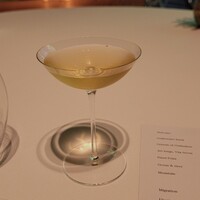 レフェルヴェソンス - 