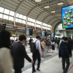 ふじ - 以前よりは少ないとはいえこれが途切れることがないから怖い！