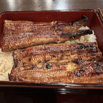 うなぎ専門店 元町 濱新 - うな重