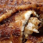 炭焼うな富士 - 